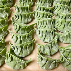 I recently made these again with green vegetable dumpling wrappers. They don't taste different (to me) than the regular dumpling wrappers...but this recipe is always so good. I like to freeze some so I can make them when I crave them!