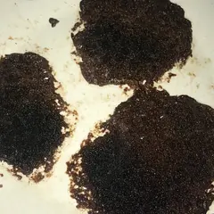 Its just dicusting, it turned out looking like dirt ,it was raw but dry at the same time, ill never try again