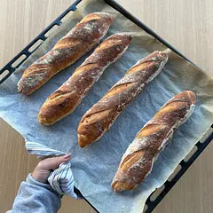 First time making baguettes! (but not first time baking bread) Soft and fluffy inside with great flavor, not as chewy or crusty as a bakery-bought baguette but delicious nonetheless — plus, they’ll make great sandwiches that won’t destroy the roof of your mouth! 

Tips: proofed for 12hrs in the fridge (3-4C) before shaping; watched a couple baguette shaping videos on YouTube for technique; placed a pan of water in the bottom of the oven while preheating & baking to create steam; shaped and proofed on counter for 15-20 mins while oven was preheating.