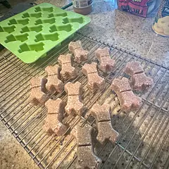 My dog loves them! Will definitely make more when we run out!