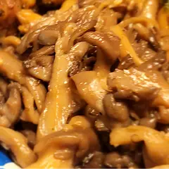 Stir-fried Oyster Mushrooms is a fast and simple side dish.  Oyster mushrooms don't last long in the refrigerator.  This recipe is a delicious and easy way for me to use up the big bag of oyster mushrooms I buy at the Asian market.
