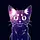 Orbitkat