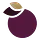 pickledplum.com