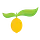 yellowblissroad.com
