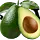 ketogenicwoman.com
