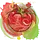 healingtomato.com