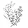 olivesnthyme.com