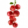 farmtojar.com