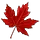 canadiancookingadventures.com