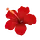 dashofjazz.com