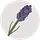 floralapron.com
