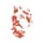 pastaevangelists.com