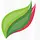 greensmoothiegourmet.com