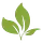 dishingoutplants.com