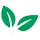 freshexpress.com