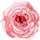 sevenroses.net