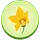 Tikvica