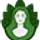 bodyandmindbotanicals.com