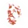 pastaevangelists.com