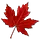 canadiancookingadventures.com