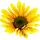 artofnaturalliving.com