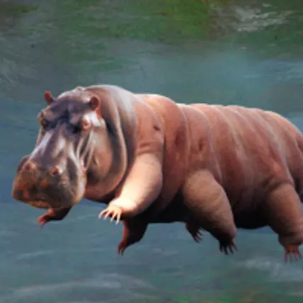 Peter