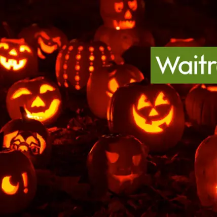 Pumpkin Recipes for Halloween