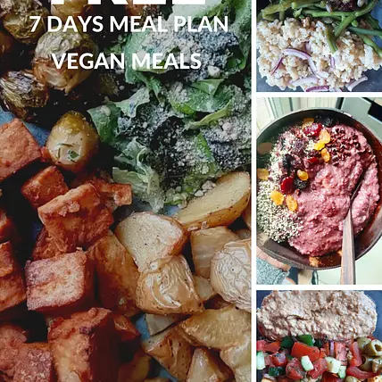 Plant based recipes