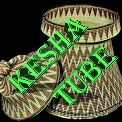 Kesha Tube Healthy & Delicious Foods