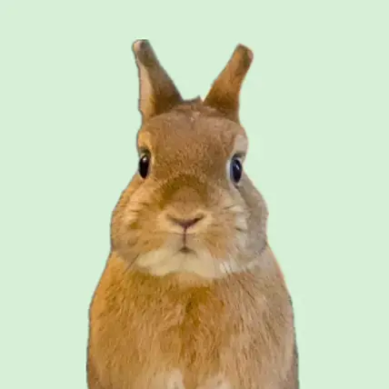 Karen