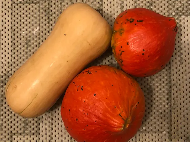 Great question! I have three homegrown pumpkins I don't know how to use, please help??? <3