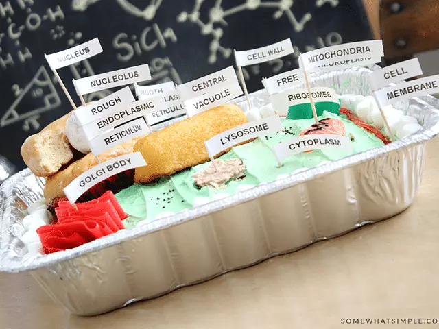 This recipe is lacking instructions but I've found this one that has it 