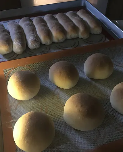 Butter Hamburger / Hot Dog / Sandwich Buns