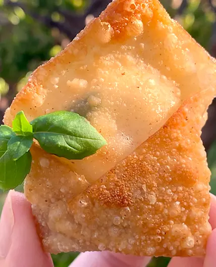 Crispy Wonton Mozzarella Bites
