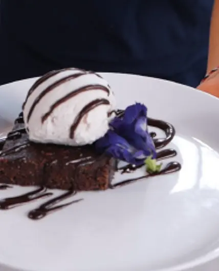 Raw Vegan Chocolate Brownie