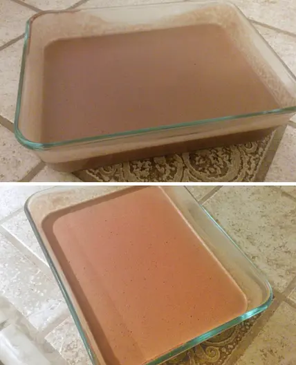 Chocolate Gelatin Bars