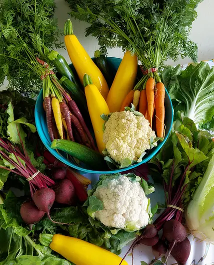 Steamed Vegetables