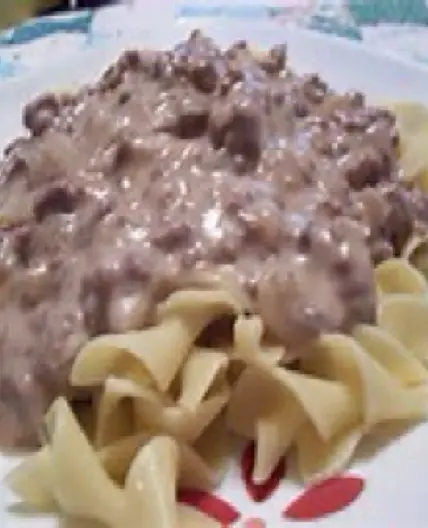 Hamburger Stroganoff