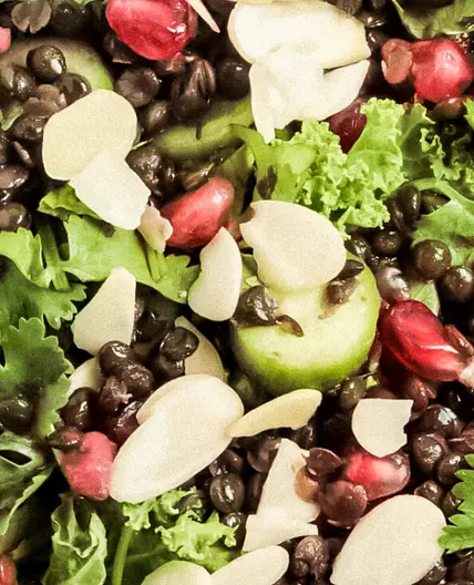 Lentil Salad