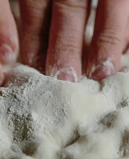 Classic Pizza Dough