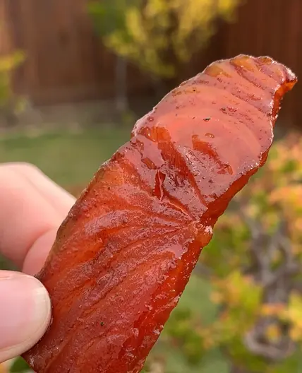 Salmon Jerky