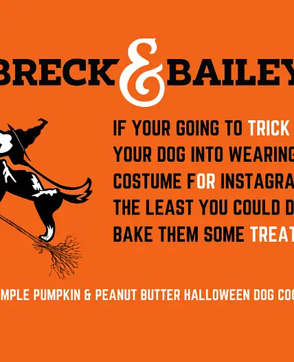 Breck & Bailey's Simple Pumpkin & Peanut Butter Halloween Dog Cookies