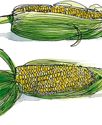 Corn Soup (Silky Sweet)