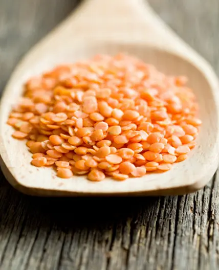 Lentilles rouges épicées et yogourt au concombre
