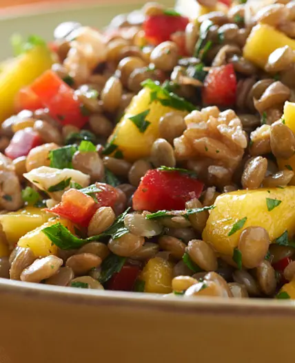 Lentil Mango Salad