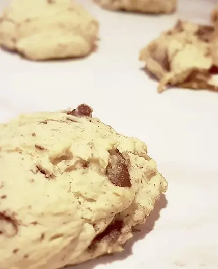 Fat-free Gluten-Free S'mores Cookies