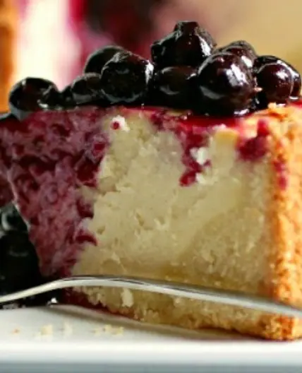 Blueberry Ricotta Cheesecake (Dr. Masley p. 221)