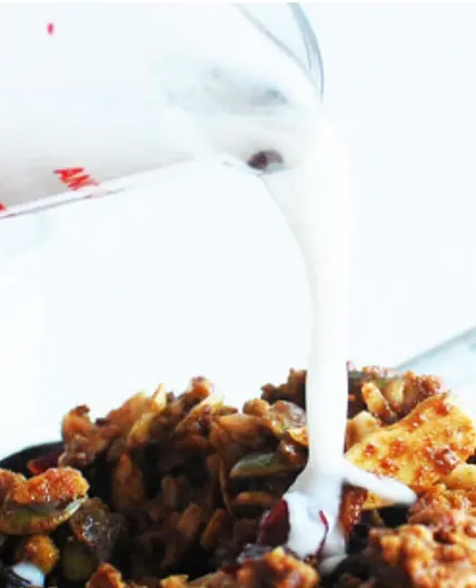 Paleo Granola
