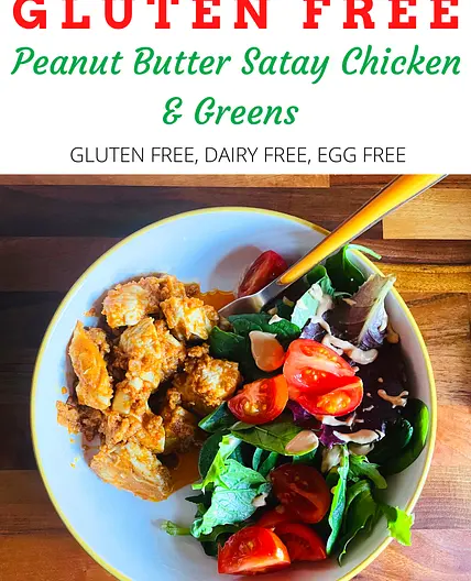 Gluten Free Satay Chicken