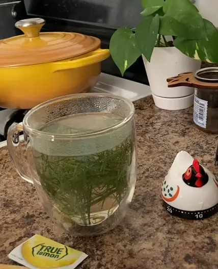 True Lemon Pine Needle Tea